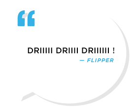 DRIIIII DRIIII DRIIIIII !